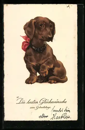 AK Dackel gibt Pfötchen zum Geburtstag