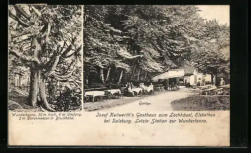 AK Elsbethen bei Salzburg, Gasthaus zum Lochhäusl, Garten, Wundertanne