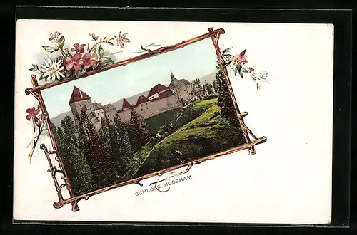 AK Moosham, Schloss Moosham, Passepartout