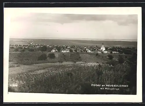 AK Oggau am Neusiedlersee, Teilansicht mit Weingebirge