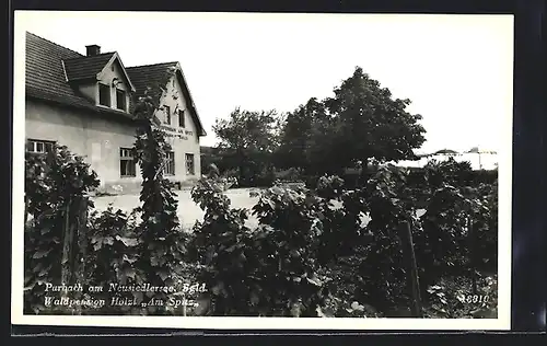 AK Purbach am Neusiedlersee, Waldpension Hölzl Am Spitz