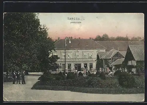 AK Tarcsa, Promenade mit Cafe