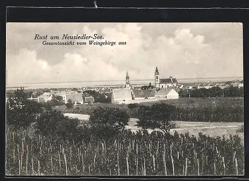 AK Rust /Neusiedlersee, Ortspanorama vom Weingebirge aus