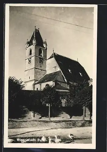 AK Eisenstadt, Kirche mit Wall und Federvieh