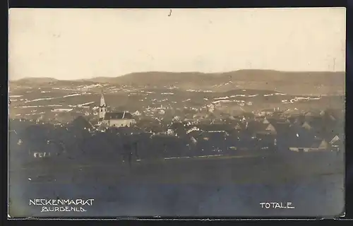 AK Neckenmarkt, Totalansicht