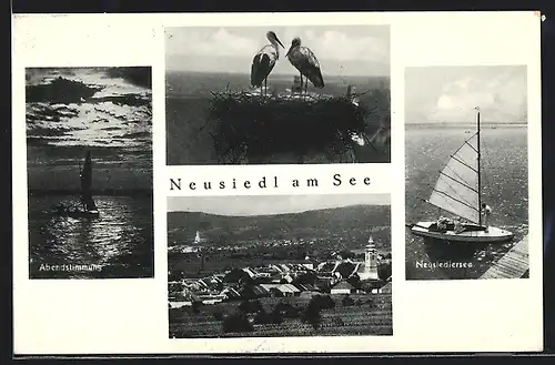 AK Neusiedl am See, Neusiedlersee, Abendstimmung, Panorama, Storchennest