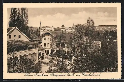 AK Sauerbrunn, Quelle und Wasserheilanstalt