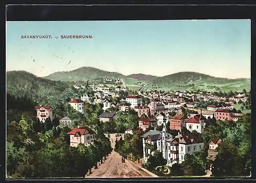 AK Sauerbrunn, Strassenpartie in den Ort hinein