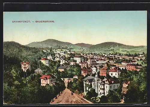 AK Sauerbrunn, Ortsansicht mit Bergen