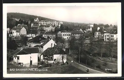 AK Bad Sauerbrunn, Teilansicht