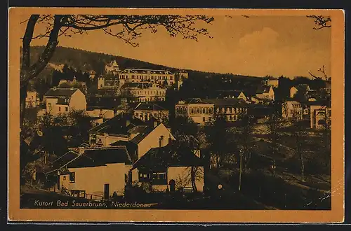 AK Bad Sauerbrunn /Niederdonau, Ortsansicht mit grossem Gebäude