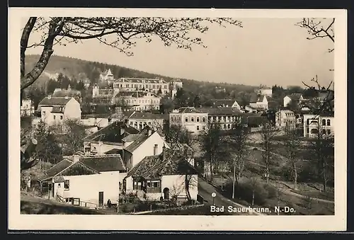 AK Bad Sauerbrunn, Blick auf den Ort