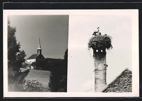 AK Mogersdorf, Blick auf Kirche, Storchennest