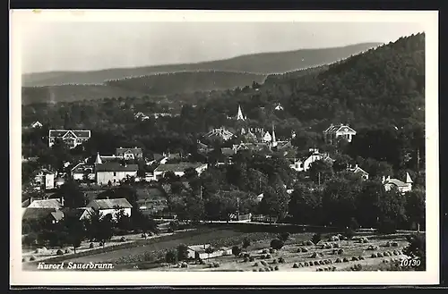 AK Bad Sauerbrunn, Ortsansicht aus der Vogelschau