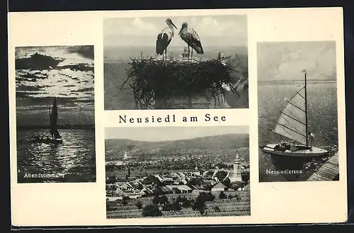 AK Neusiedl am See, Neusiedler See, Abendstimmung, Storchennest auf Schornstein, Panorama