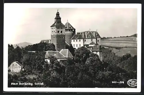 AK Stadt Schlaining, Das Schloss