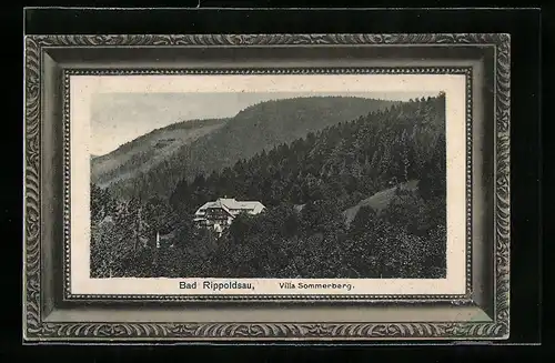 AK Bad Rippoldsau, Blick auf Villa Sommerberg