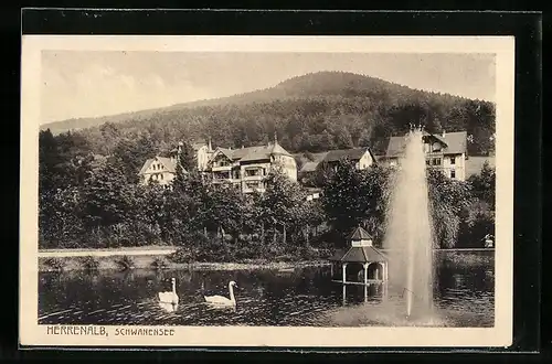 AK Herrenalb, Schwanensee mit Fontäne