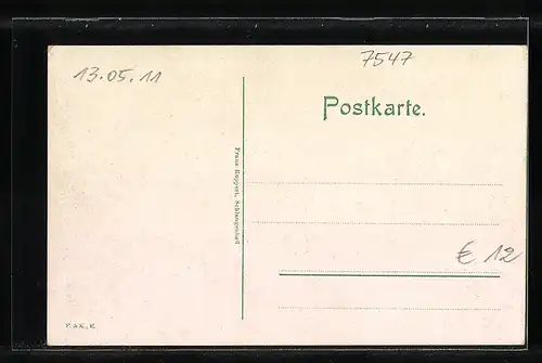 AK Schlangenbad, Ortsansicht mit Schlange