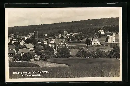 AK Schömberg im Schwarzwald, Ortsansicht bei Tag