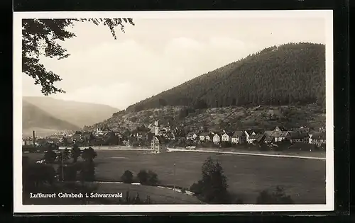 AK Calmbach i. Schwarzwald, Ortsansicht am Tag