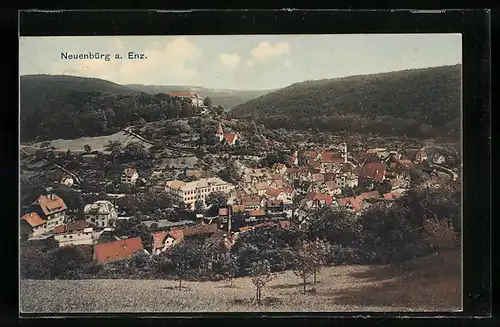 AK Neuenbürg a. Enz, Ortsansicht bei Tag