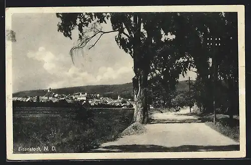 AK Eisenstadt, Teilansicht und Strassenpartie