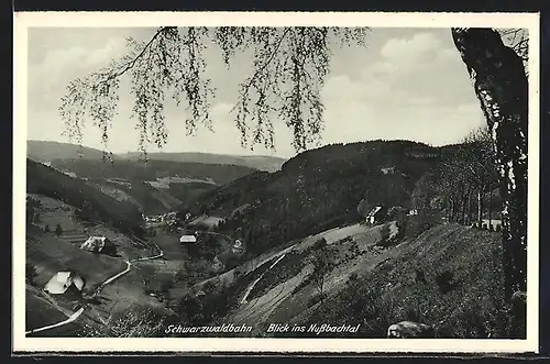AK Triberg, Blick ins Nussbachtal mit Schwarzwaldbahn