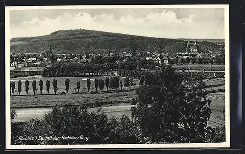 AK Rochlitz /Sa., Ortsansicht mit Rochlitzer Berg