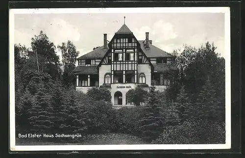 AK Bad Elster, Hotel Haus Sachsengrün