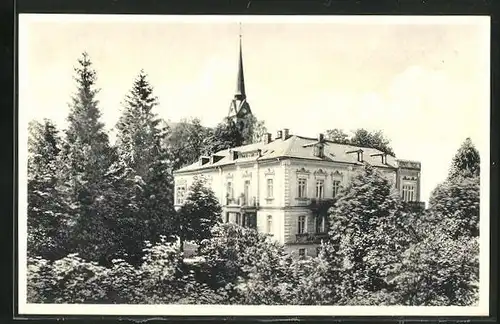 AK Bad Elster, Blick auf Hotel Königs Villa, Beihaus z. Hotel zur Post