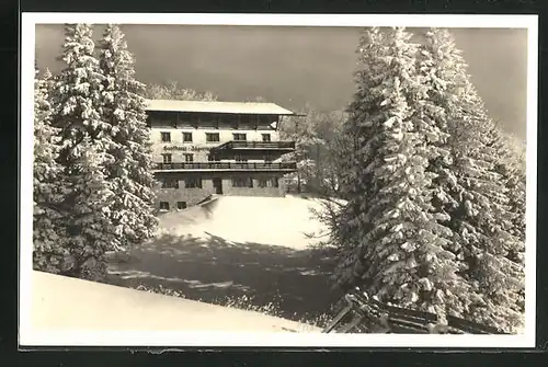 AK Feldberg im Schwarzwald, Gasthaus Jägermatt im Winter