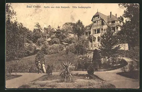 AK Bad Elster, Hotel Villa Sachsengrün, Partie aus dem Kurpark