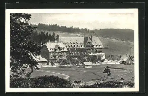 AK Feldberg / Schwarzwald, Blick nach dem Hotel Feldbergerhof