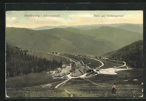 AK Feldberg / Schwarzwald, Blick auf Feldbergerhof
