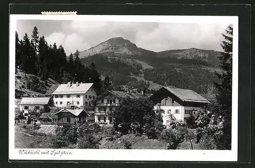 AK Wildbichl, Ortsansicht mit Spitzstein