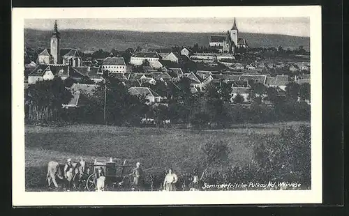 AK Pulkau, Panorama während der Weinlese