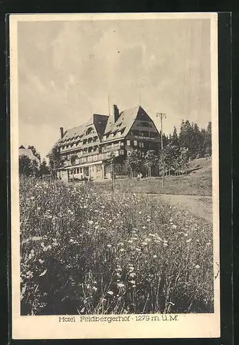 AK Feldberg / Schwarzwald, Hotel Feldbergerhof in der strahlenden Sommersonne