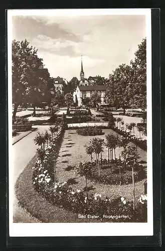 AK Bad Elster, Rosengarten im strahlenden Sonnenschein