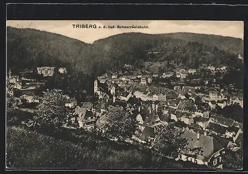 AK Triberg a. d. bad. Schwarzwaldbahn, Ortsansicht bei Tag