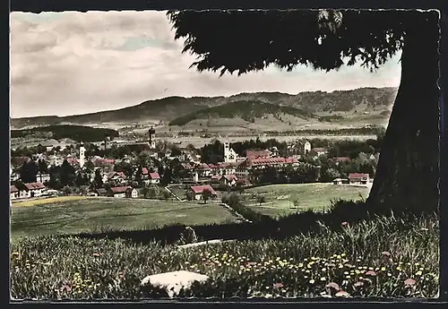 AK Isny im Allgäu, Ortsansicht im Frühling