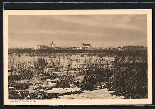 AK Pinsk, Panoramaansicht