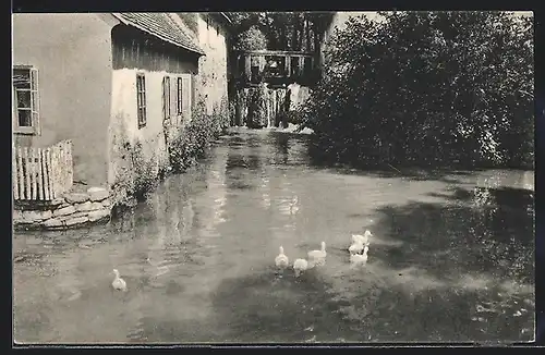 AK Tata-Tóváros, Öreg kalló malom