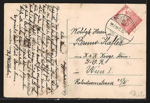 AK Nagyszalonta, Látképe