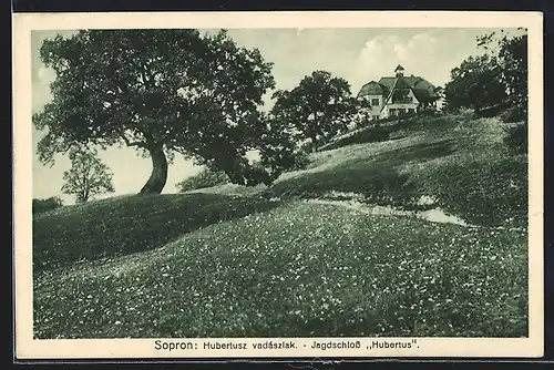 AK Sopron, Jagdschloss Hubertus