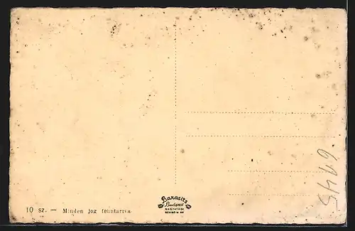 AK Léva, Városháza