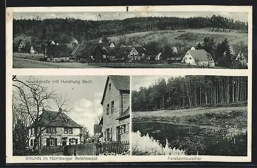 AK Brunn im Nürnberger Reichswald, Hauptstrasse mit Handlung Beck, Forstamtsweiher, Ortsansicht