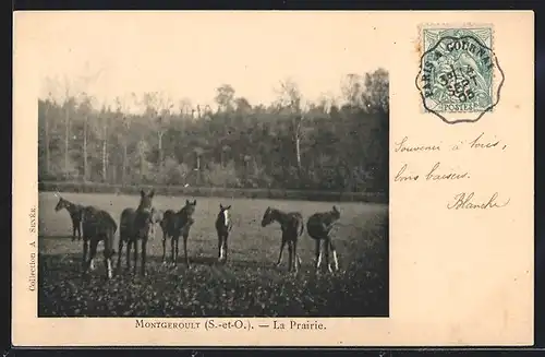 AK Montgeroult, La Prairie