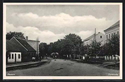 AK Päwesin, Dorfstrasse mit Passanten