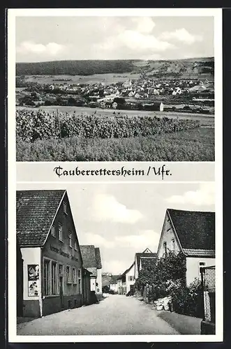 AK Tauberrettersheim /Ufr., Ortsansicht und Strassenpartie